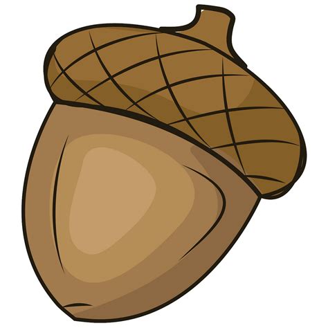 acorn drawing|acorn image clip art.